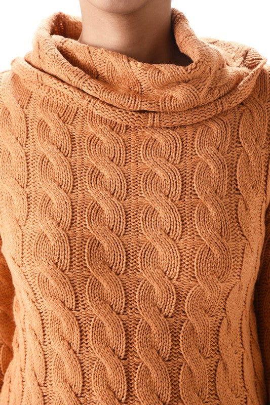 Thick Turtleneck Cable Knit Pullover Sweater MK3432