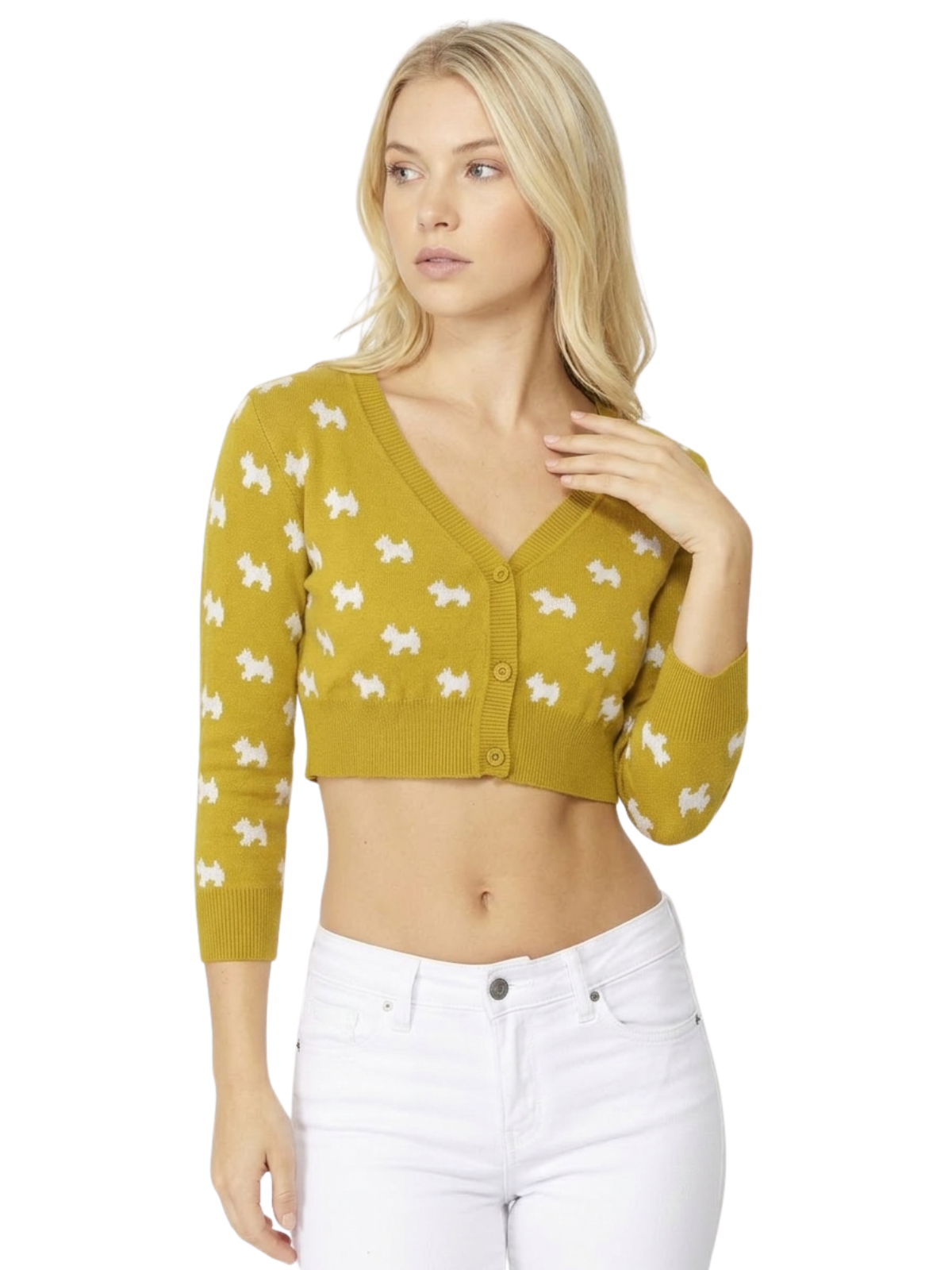 Dog Patterned Button Down Cropped Cardigan Sweater MK3672 (S-L)